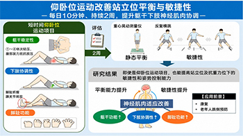 東京農工大學與電氣通信大學等研究證實：仰臥位鍛鍊可改善站立位的平衡與敏捷度