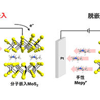 東京科學大學成功實現層狀半導體電化學寫入，證實手性介導的自旋極化可逆切換