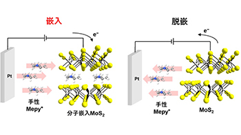 東京科學大學成功實現層狀半導體電化學寫入，證實手性介導的自旋極化可逆切換