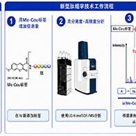 九州大學創立可測定肽序列的新型肽組學技術