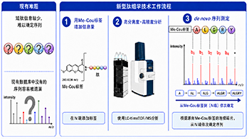 九州大學創立可測定肽序列的新型肽組學技術