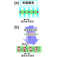 茨城大學與青山學院大學開發出無需諧振器即可調控光傳播模式的新方法，向探明超熒光量子性大幅邁進