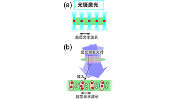 茨城大學與青山學院大學開發出無需諧振器即可調控光傳播模式的新方法，向探明超熒光量子性大幅邁進