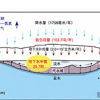 熊本大與地球研：地下淡水層可淨化約三分之一地表氮污染，定量評估自然淨化能力