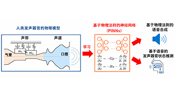 長岡技科大開發出基於學習了「發聲機制」的AI話音合成方法，通過神經網路再現語音生成過程