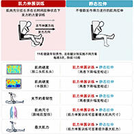早稻田大學證實大腿後側肌群力量訓練也能使肌肉變柔韌