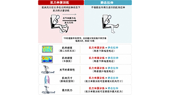早稻田大學證實大腿後側肌群力量訓練也能使肌肉變柔韌