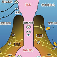 深海熱液噴口附近的微生物通過「電合成」而非「光合作用」實現增殖