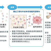 東京大學開發特定外泌體分選技術，有望用於癌症檢測、藥物遞送及抗衰老治療