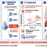 信州大學等：需警惕血清中IgA高值，為代謝相關脂肪肝的風險因素