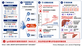 信州大學等：需警惕血清中IgA高值，為代謝相關脂肪肝的風險因素