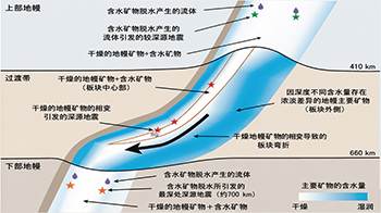 岡山大學揭示數百公里深處的深源地震產生原因，板塊內部的水遷移是重要因素