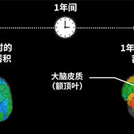 QST首次證實進行性核上性麻痹患者腦內的tau蛋白持續增加，並與症狀進展相關