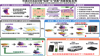 大阪大學開發出光照即可輕鬆剝離的黏合劑，僅對選定區域改變力學特性