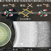 京都大學開發出仿生超分子構築新方法，可自主組裝多種空間結構