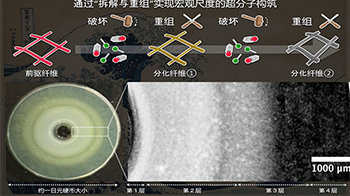 京都大學開發出仿生超分子構築新方法，可自主組裝多種空間結構