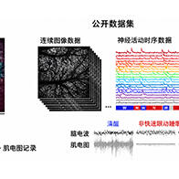 理研公開小鼠在清醒、自然睡眠、麻醉狀態下大規模腦細胞活動資料集