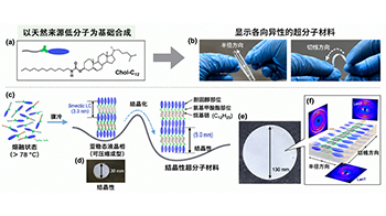 京都大學利用低分子化合物開發出結晶性超分子材料，有望助力下一代材料研發
