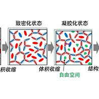 九州大學發現凝膠化後的黏合劑仍可發生結構重排，有望成為汽車與飛機輕量化的新型黏接技術