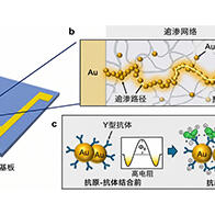 日本東北大學開發出基於新原理的生物感測器，僅需約30秒即可測定靶蛋白濃度