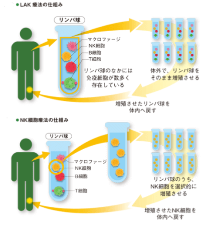 細胞治療與再生醫療，中日監管大不同（上）