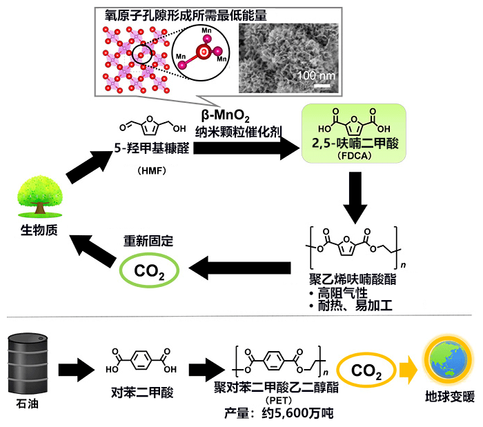 「東工大開發成功新型觸媒，可用生質材料合成塑膠