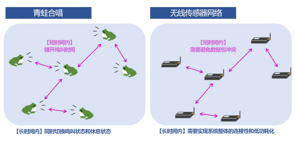 築波大學：青蛙合唱與通訊系統