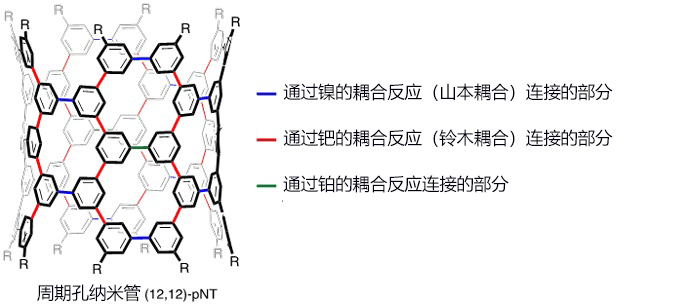 新奈米管：結構能自由設計且特質可控的週期孔奈米管pNT