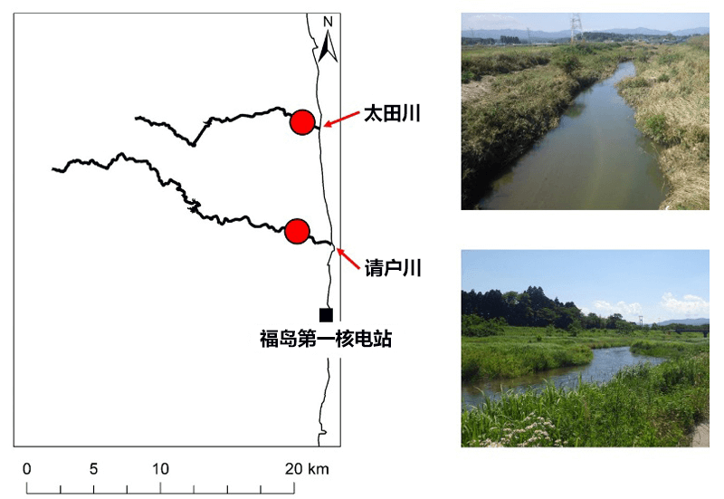 福島核能電廠周邊河流中的銫濃度逐漸減量