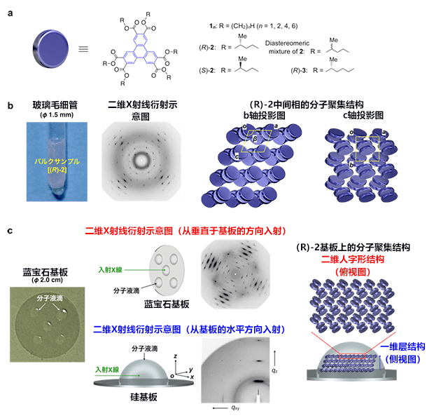 東工大發現既非晶體也非液晶，更非液體的新物質形態