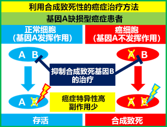 日本發現冶癒ARID1A基因突變癌症的新方法