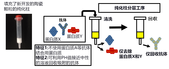 日本產綜研開發出可有效分離和純化抗體的陶瓷顆粒