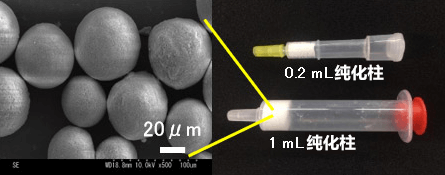 日本產綜研開發出可有效分離和純化抗體的陶瓷顆粒