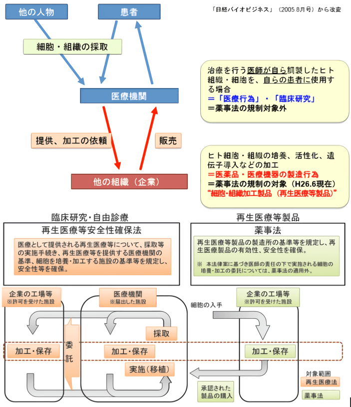 細胞治療、再生醫療，中日監管大不同（下）