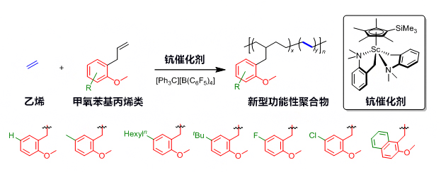 理研開發出可在各種環境中自我開墾的新型功能性聚合物