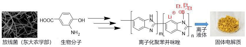 日本北陸先端科技大成功製作出世界最高水準的有機類準固態電解質