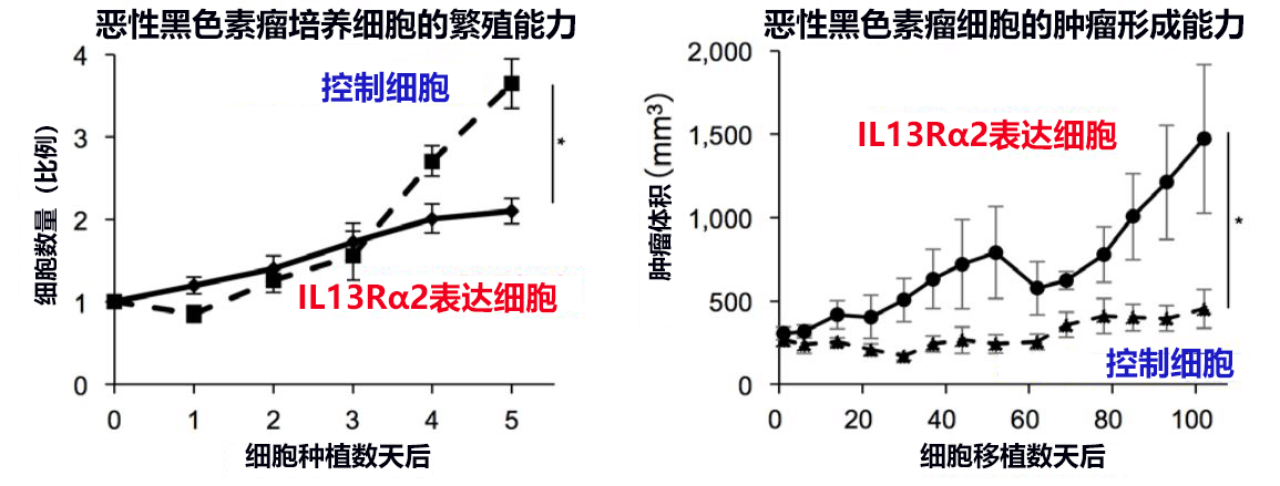 東京醫科齒科大學與東京大學發現IL13Rα2導致惡性黑色素瘤惡化的機制