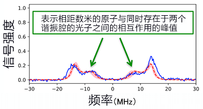 早大利用光纖低損耗高效耦合兩個腔量子電力學系統