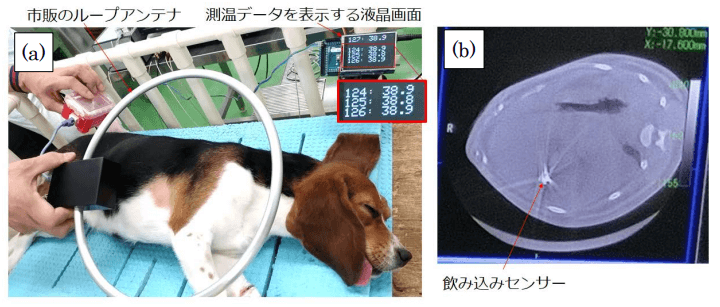 日本開發胃酸發電的 吞入型體溫計