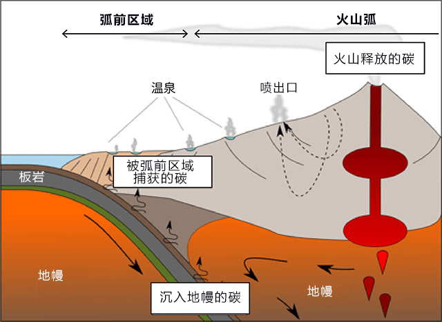 微生物固碳 日英發現地球深碳「守門人