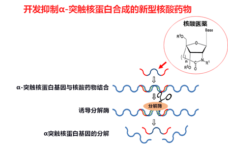 日本開發新型核酸藥物，向根治巴金森氏症邁進一大步