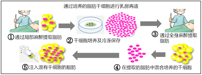 日本機構開發出能吸收所有光線的超級黑膜