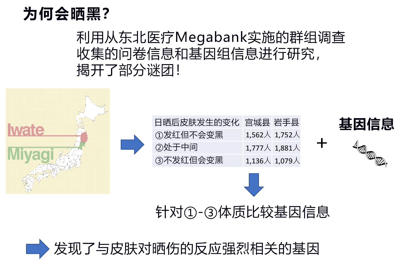 皮膚是否容易曬黑由基因決定