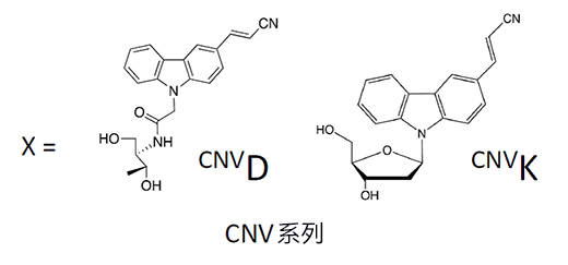 用光控制細胞内靶基因表現，有望應用於抗癌核酸藥物