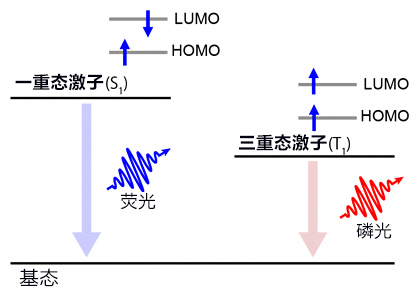 日本理研發現OLED新發光機制，能在低電壓下選擇性形成三重態激子