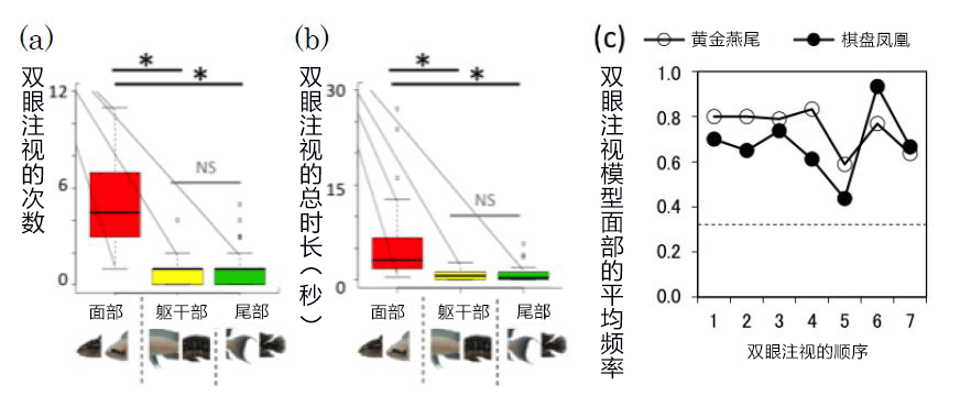 魚兒也是看臉的！