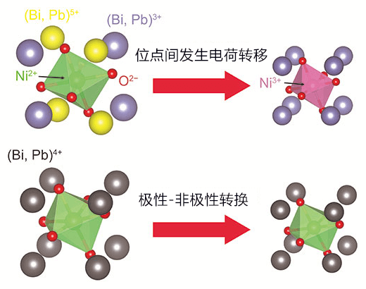 東京工業大學發現導致「熱縮冷脹」現象的兩種新機制