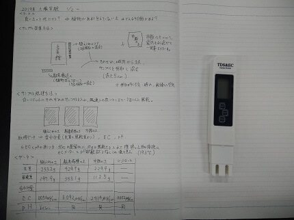 什麼樣的土壤適合植物成長