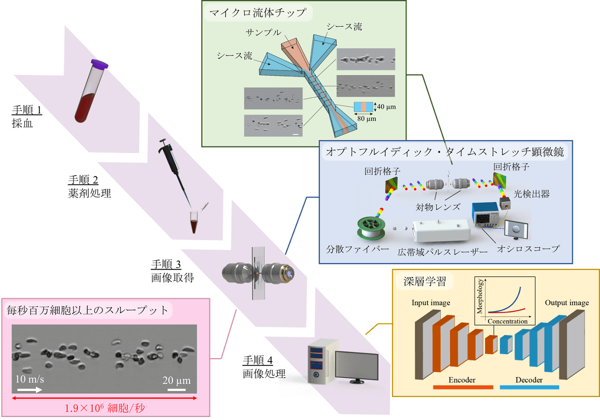 中日合力開發出白血病抗藥性簡易AI檢測法