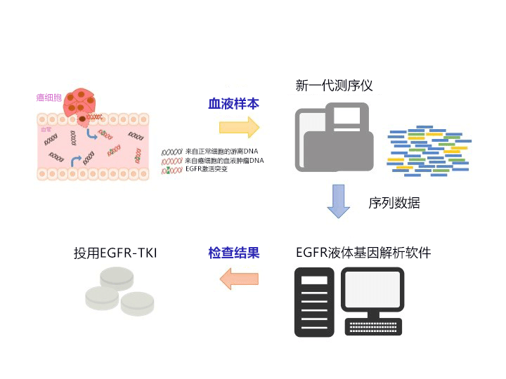 日本開發出驗血查肺癌基因的高靈敏度技術